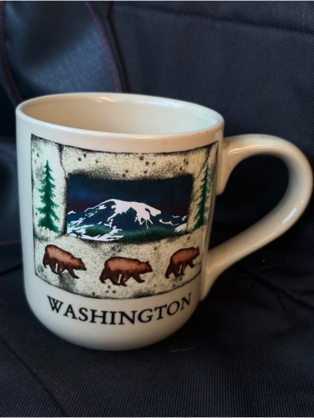 Washington Scenic Ceramic Mug in White with Multi-Color Artwork